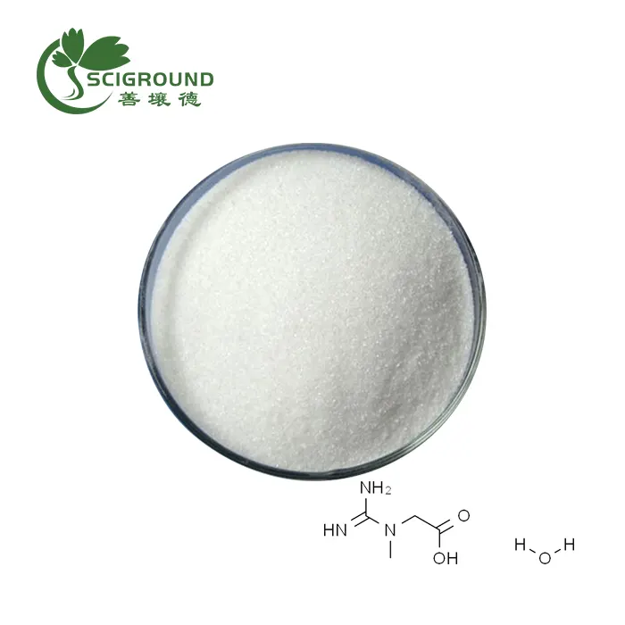 Bulk Creatine Monohydrate Powder